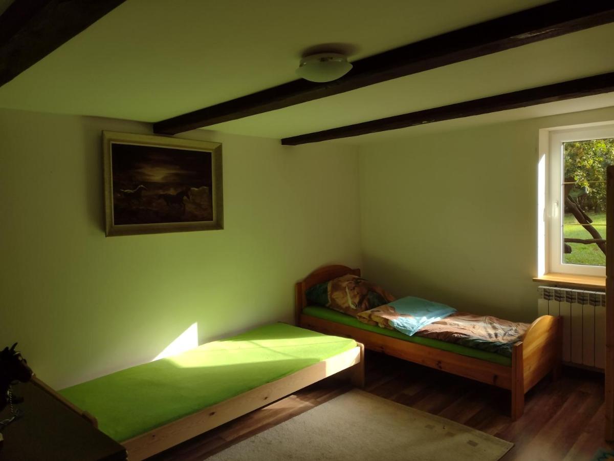 Kolorowe Wzgorze Agroturystyka I Konie Trojanow Exterior foto